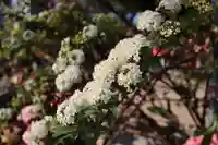 三津厳島神社(愛媛県)