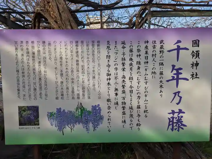 國領神社(東京都)