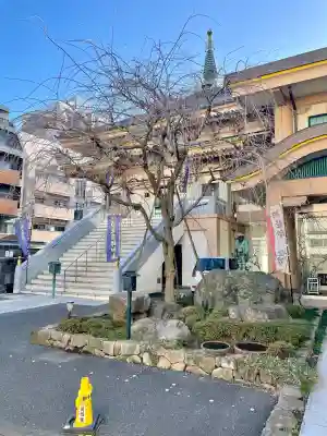 眞性寺の{uncategorized: "未分類", other: "その他", undefined: "問題あり", building: "その他建物", grave: "お墓", sacred_gate: "鳥居", guardian: "狛犬", statue: "像", buddha: "仏像", history: "歴史", nature: "自然", garden: "庭園", animal: "動物", pagoda: "塔", temizu: "手水舎", mountain_gate: "山門・神門", sanctuary: "本殿・本堂", subordinate: "末社・摂社", art: "芸術", scenery: "景色", jizo: "地蔵", ema: "絵馬", goshuin: "御朱印", omikuji: "おみくじ", items: "授与品その他", amulet: "お守り", goshuincho: "御朱印帳", eats: "食事", festival: "お祭り", votive_dance: "神楽", shichigosan: "七五三参", wedding: "結婚式", experience: "体験その他", initially: "初詣", around: "周辺", anti_infection: "感染症対策"}