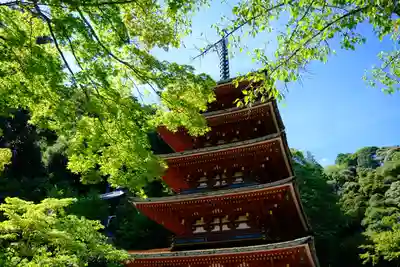 長谷寺のその他建物