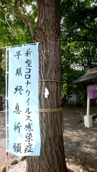 星置神社の自然