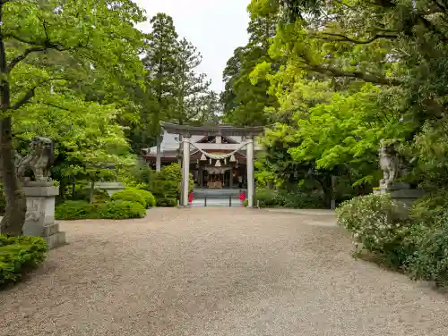 越中一宮 髙瀬神社の{uncategorized: "未分類", other: "その他", undefined: "問題あり", building: "その他建物", grave: "お墓", sacred_gate: "鳥居", guardian: "狛犬", statue: "像", buddha: "仏像", history: "歴史", nature: "自然", garden: "庭園", animal: "動物", pagoda: "塔", temizu: "手水舎", mountain_gate: "山門・神門", sanctuary: "本殿・本堂", subordinate: "末社・摂社", art: "芸術", scenery: "景色", jizo: "地蔵", ema: "絵馬", goshuin: "御朱印", omikuji: "おみくじ", items: "授与品その他", amulet: "お守り", goshuincho: "御朱印帳", eats: "食事", festival: "お祭り", votive_dance: "神楽", shichigosan: "七五三参", wedding: "結婚式", experience: "体験その他", initially: "初詣", around: "周辺", anti_infection: "感染症対策"}