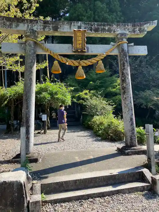 根道神社の鳥居