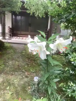 西福寺(愛知県)