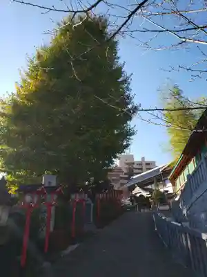 放生寺のその他建物