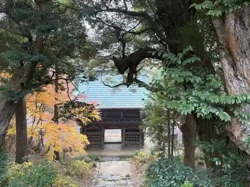 椎尾山薬王院(茨城県)