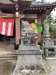 天龍寺の狛犬