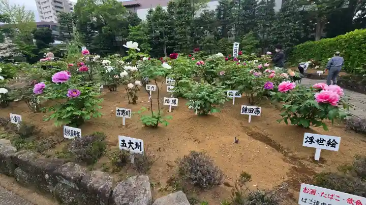 西新井大師総持寺の{uncategorized: "未分類", other: "その他", undefined: "問題あり", building: "その他建物", grave: "お墓", sacred_gate: "鳥居", guardian: "狛犬", statue: "像", buddha: "仏像", history: "歴史", nature: "自然", garden: "庭園", animal: "動物", pagoda: "塔", temizu: "手水舎", mountain_gate: "山門・神門", sanctuary: "本殿・本堂", subordinate: "末社・摂社", art: "芸術", scenery: "景色", jizo: "地蔵", ema: "絵馬", goshuin: "御朱印", omikuji: "おみくじ", items: "授与品その他", amulet: "お守り", goshuincho: "御朱印帳", eats: "食事", festival: "お祭り", votive_dance: "神楽", shichigosan: "七五三参", wedding: "結婚式", experience: "体験その他", initially: "初詣", around: "周辺", anti_infection: "感染症対策"}