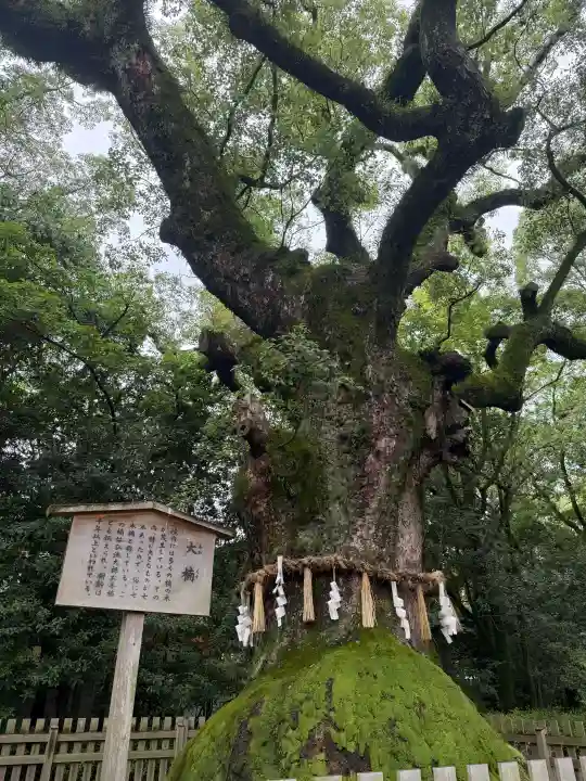 熱田神宮の{uncategorized: "未分類", other: "その他", undefined: "問題あり", building: "その他建物", grave: "お墓", sacred_gate: "鳥居", guardian: "狛犬", statue: "像", buddha: "仏像", history: "歴史", nature: "自然", garden: "庭園", animal: "動物", pagoda: "塔", temizu: "手水舎", mountain_gate: "山門・神門", sanctuary: "本殿・本堂", subordinate: "末社・摂社", art: "芸術", scenery: "景色", jizo: "地蔵", ema: "絵馬", goshuin: "御朱印", omikuji: "おみくじ", items: "授与品その他", amulet: "お守り", goshuincho: "御朱印帳", eats: "食事", festival: "お祭り", votive_dance: "神楽", shichigosan: "七五三参", wedding: "結婚式", experience: "体験その他", initially: "初詣", around: "周辺", anti_infection: "感染症対策"}