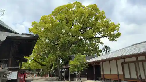 美奈宜神社(福岡県)