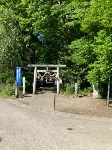 下野 星宮神社の{uncategorized: "未分類", other: "その他", undefined: "問題あり", building: "その他建物", grave: "お墓", sacred_gate: "鳥居", guardian: "狛犬", statue: "像", buddha: "仏像", history: "歴史", nature: "自然", garden: "庭園", animal: "動物", pagoda: "塔", temizu: "手水舎", mountain_gate: "山門・神門", sanctuary: "本殿・本堂", subordinate: "末社・摂社", art: "芸術", scenery: "景色", jizo: "地蔵", ema: "絵馬", goshuin: "御朱印", omikuji: "おみくじ", items: "授与品その他", amulet: "お守り", goshuincho: "御朱印帳", eats: "食事", festival: "お祭り", votive_dance: "神楽", shichigosan: "七五三参", wedding: "結婚式", experience: "体験その他", initially: "初詣", around: "周辺", anti_infection: "感染症対策"}