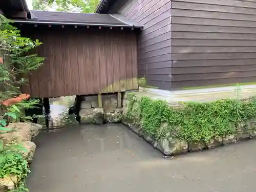吉保八幡神社の本殿・本堂