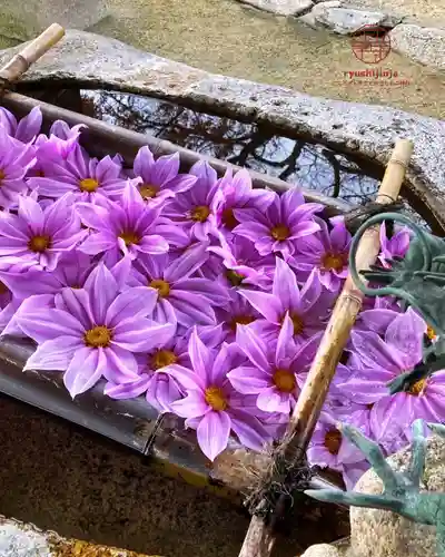 立志神社(滋賀県)