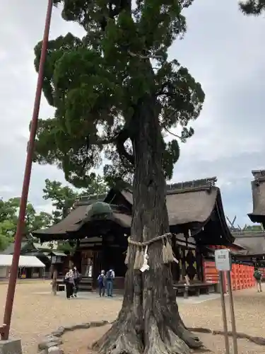 住吉大社の自然