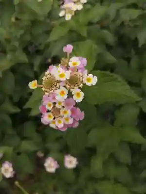 源九郎稲荷神社(奈良県)