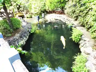 天祖諏訪神社(東京都)