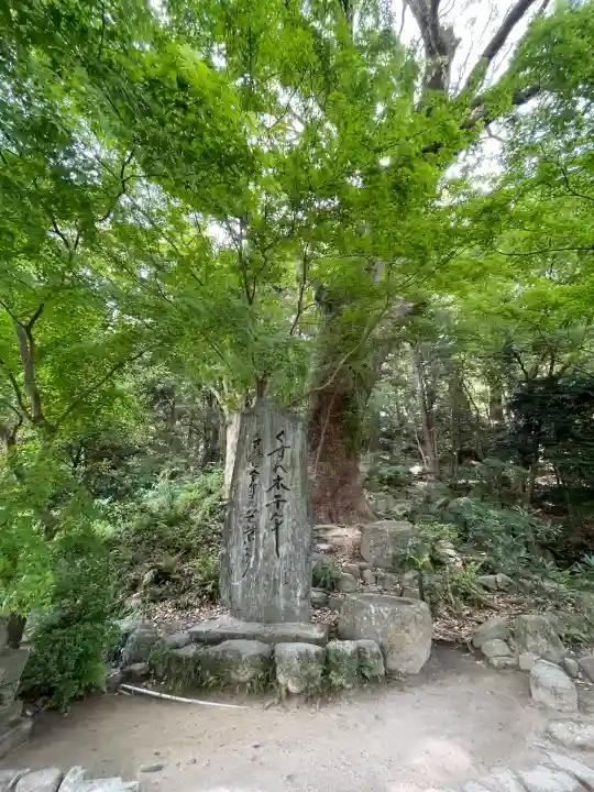 太宰府天満宮の自然