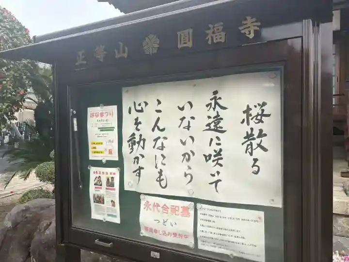 正等山 円福寺の{uncategorized: "未分類", other: "その他", undefined: "問題あり", building: "その他建物", grave: "お墓", sacred_gate: "鳥居", guardian: "狛犬", statue: "像", buddha: "仏像", history: "歴史", nature: "自然", garden: "庭園", animal: "動物", pagoda: "塔", temizu: "手水舎", mountain_gate: "山門・神門", sanctuary: "本殿・本堂", subordinate: "末社・摂社", art: "芸術", scenery: "景色", jizo: "地蔵", ema: "絵馬", goshuin: "御朱印", omikuji: "おみくじ", items: "授与品その他", amulet: "お守り", goshuincho: "御朱印帳", eats: "食事", festival: "お祭り", votive_dance: "神楽", shichigosan: "七五三参", wedding: "結婚式", experience: "体験その他", initially: "初詣", around: "周辺", anti_infection: "感染症対策"}