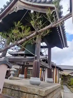 碧流寺(大阪府)