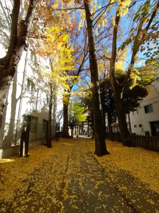 荻窪白山神社(東京都)