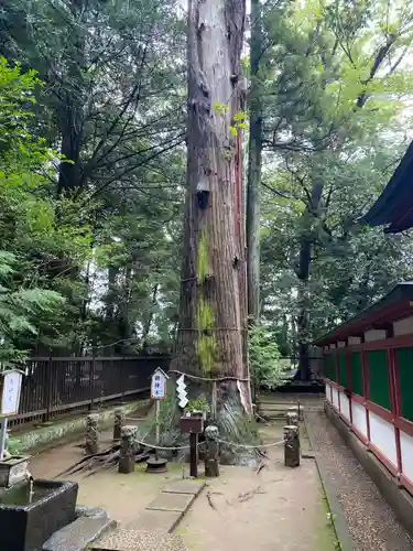 一言主神社の自然