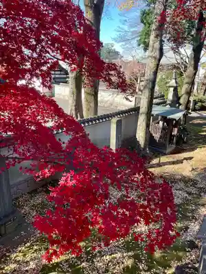 愛染院(東京都)