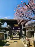 密藏院の{uncategorized: "未分類", other: "その他", undefined: "問題あり", building: "その他建物", grave: "お墓", sacred_gate: "鳥居", guardian: "狛犬", statue: "像", buddha: "仏像", history: "歴史", nature: "自然", garden: "庭園", animal: "動物", pagoda: "塔", temizu: "手水舎", mountain_gate: "山門・神門", sanctuary: "本殿・本堂", subordinate: "末社・摂社", art: "芸術", scenery: "景色", jizo: "地蔵", ema: "絵馬", goshuin: "御朱印", omikuji: "おみくじ", items: "授与品その他", amulet: "お守り", goshuincho: "御朱印帳", eats: "食事", festival: "お祭り", votive_dance: "神楽", shichigosan: "七五三参", wedding: "結婚式", experience: "体験その他", initially: "初詣", around: "周辺", anti_infection: "感染症対策"}