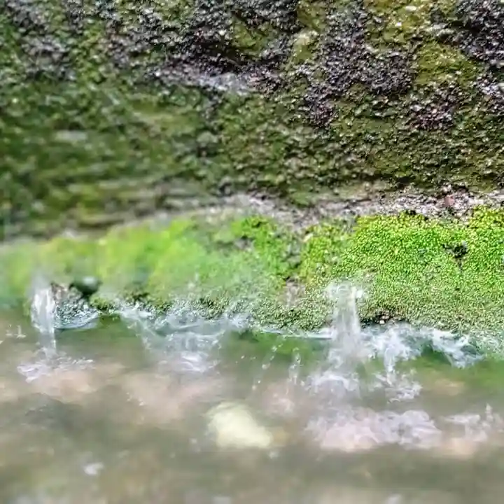 阿邪訶根神社の自然