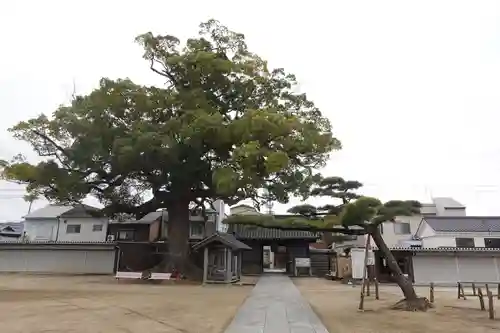 長尾寺(香川県)