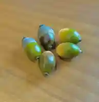 蚊里田八幡宮(長野県)