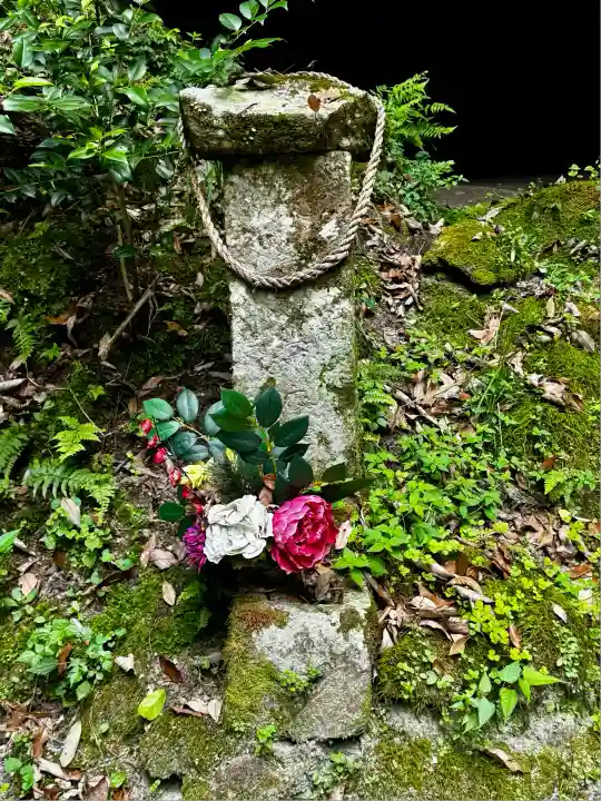 溝ノ口洞穴(鹿児島県)