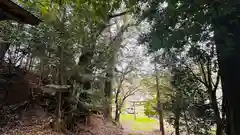 多摩良木神社(兵庫県)