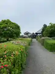 永徳寺(群馬県)