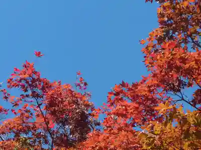 報徳二宮神社(神奈川県)