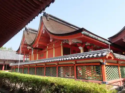 伊佐爾波神社の本殿