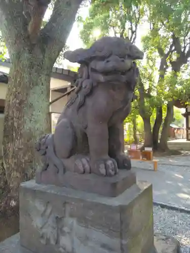橘樹神社(神奈川県)
