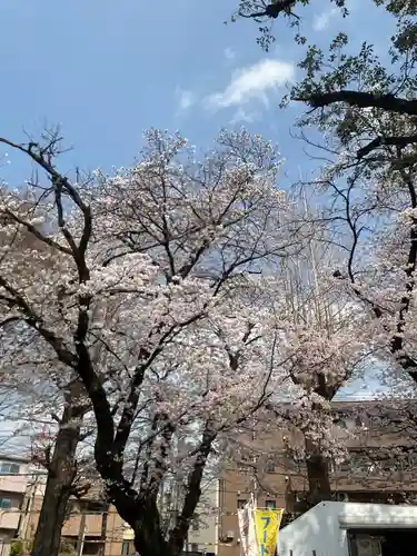 本町南町八幡神社(東京都)