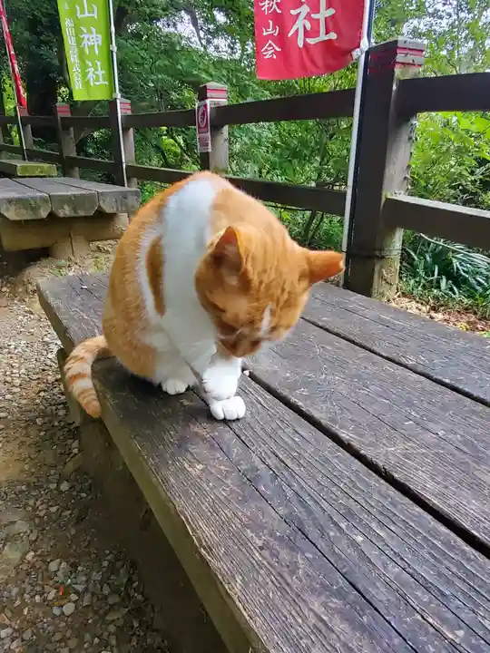 唐澤山神社の動物