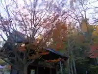 妙本寺の山門・神門