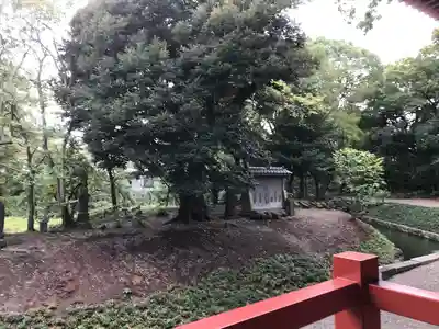浅草寺(東京都)