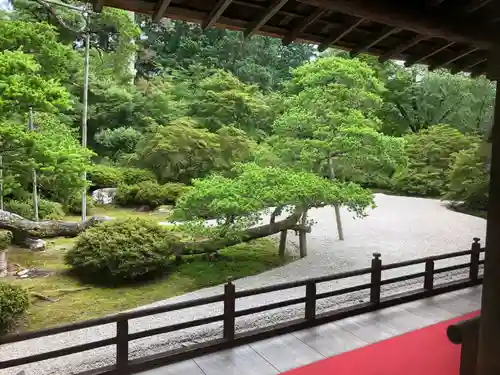 曼殊院門跡の庭園