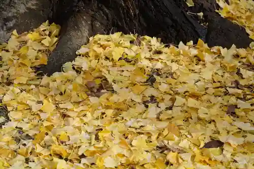 阿邪訶根神社の自然