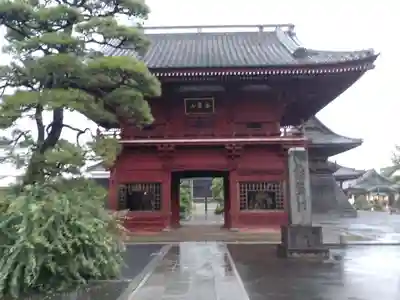 徳願寺の山門・神門
