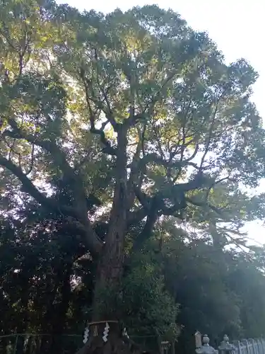 和泉國一之宮　大鳥大社(大阪府)