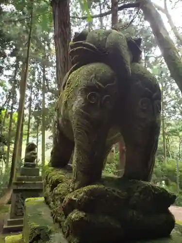 出雲神社の狛犬