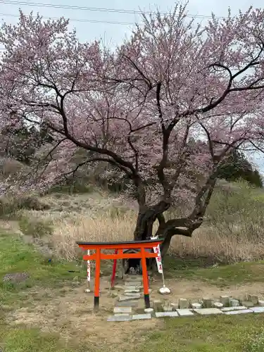 宇賀神さま(福島県)
