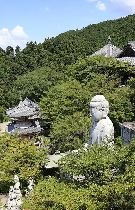 南法華寺(壷阪寺)(奈良県)