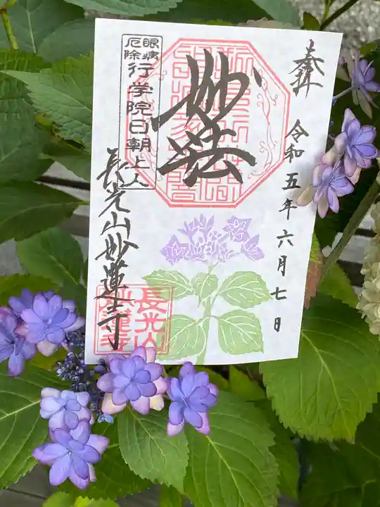 妙蓮寺(神奈川県)