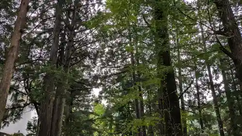 白山神社の自然
