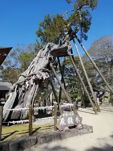 新北神社の自然